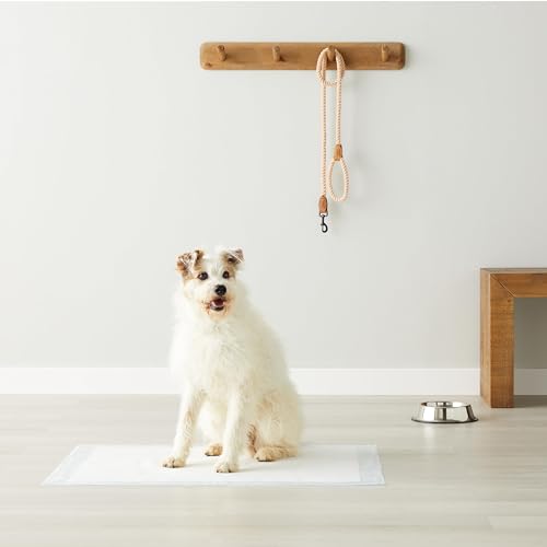 Amazon Basics Dog and Puppy Pee Pads, 5-Layer Leak-Proof Super Absorbent, Quick-Dry Surface, Potty Training, Regular (22x22"), 50 Count, Blue & White