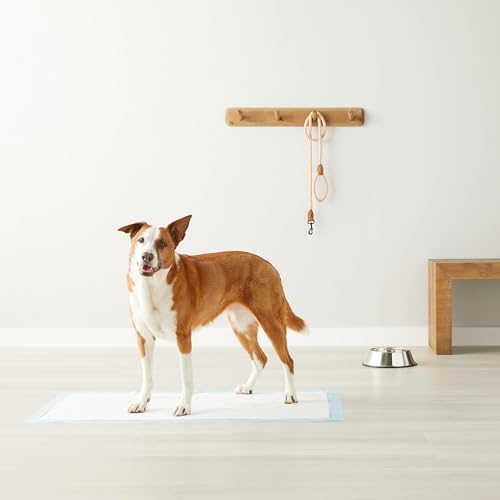 Amazon Basics Dog and Puppy Pee Pads, 5-Layer Leak-Proof Super Absorbent, Quick-Dry Surface, Potty Training, Regular (22x22"), 50 Count, Blue & White