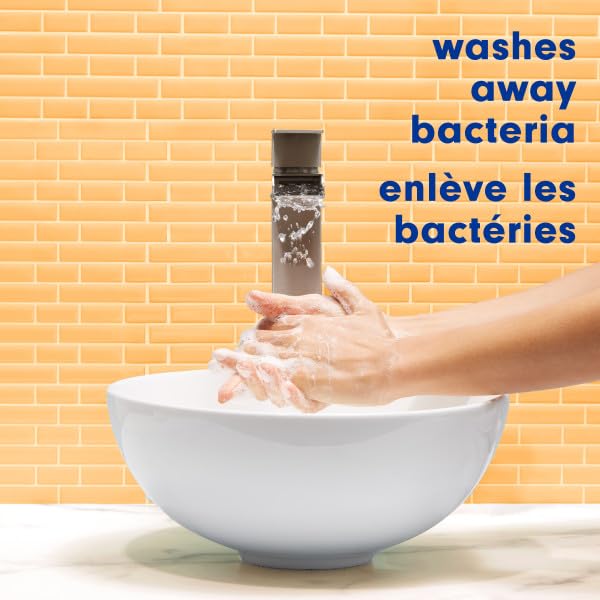 Softsoap Milk & Honey Scented, Liquid Hand Soap Refill, 50 Ounce