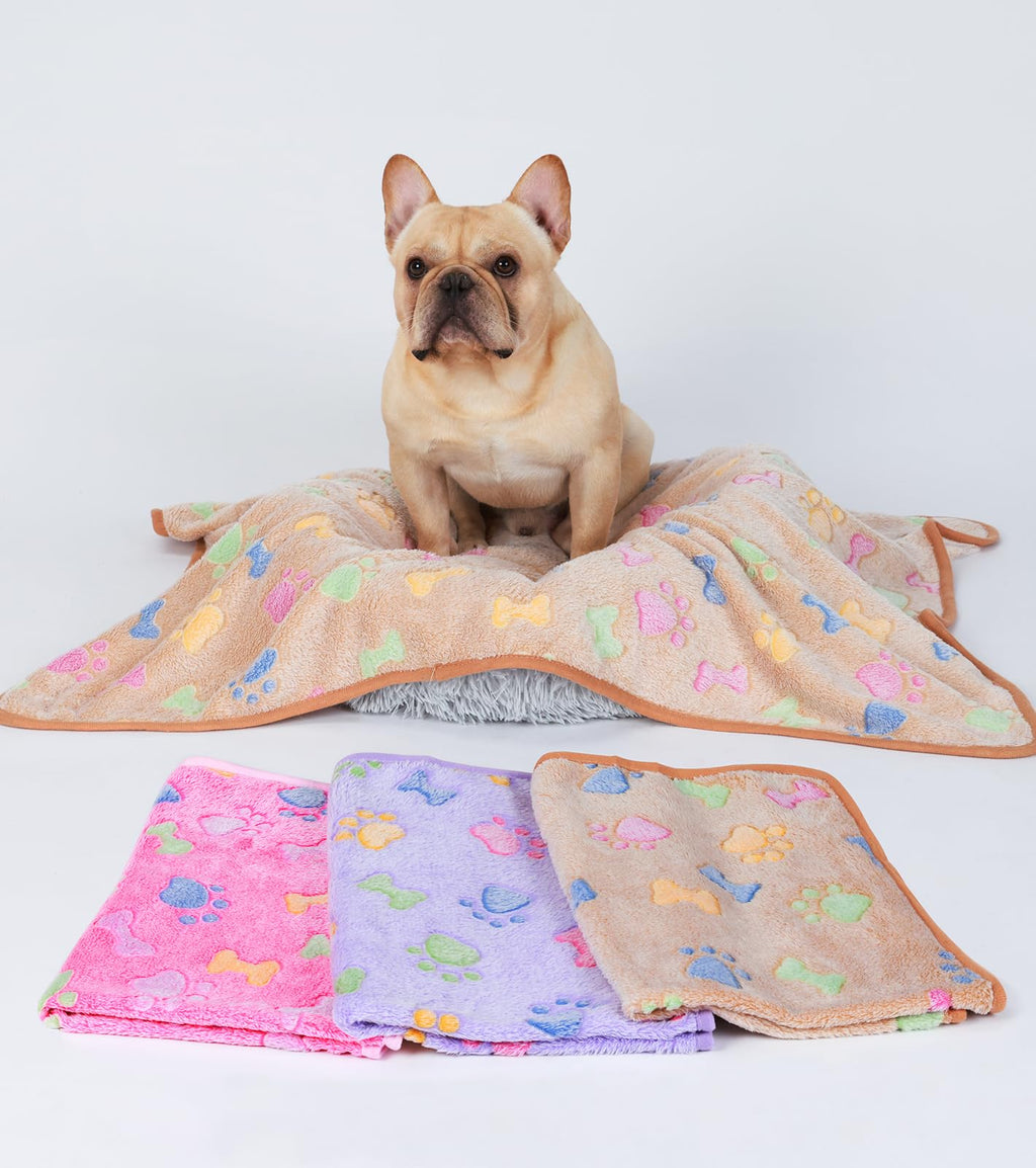 Luciphia 1 Pack 3 Blankets Fluffy Premium Fleece Pet Blanket Flannel Paw Printed Throw for Dog Cat(Small 23x16'', Grey/Brown/Blue)