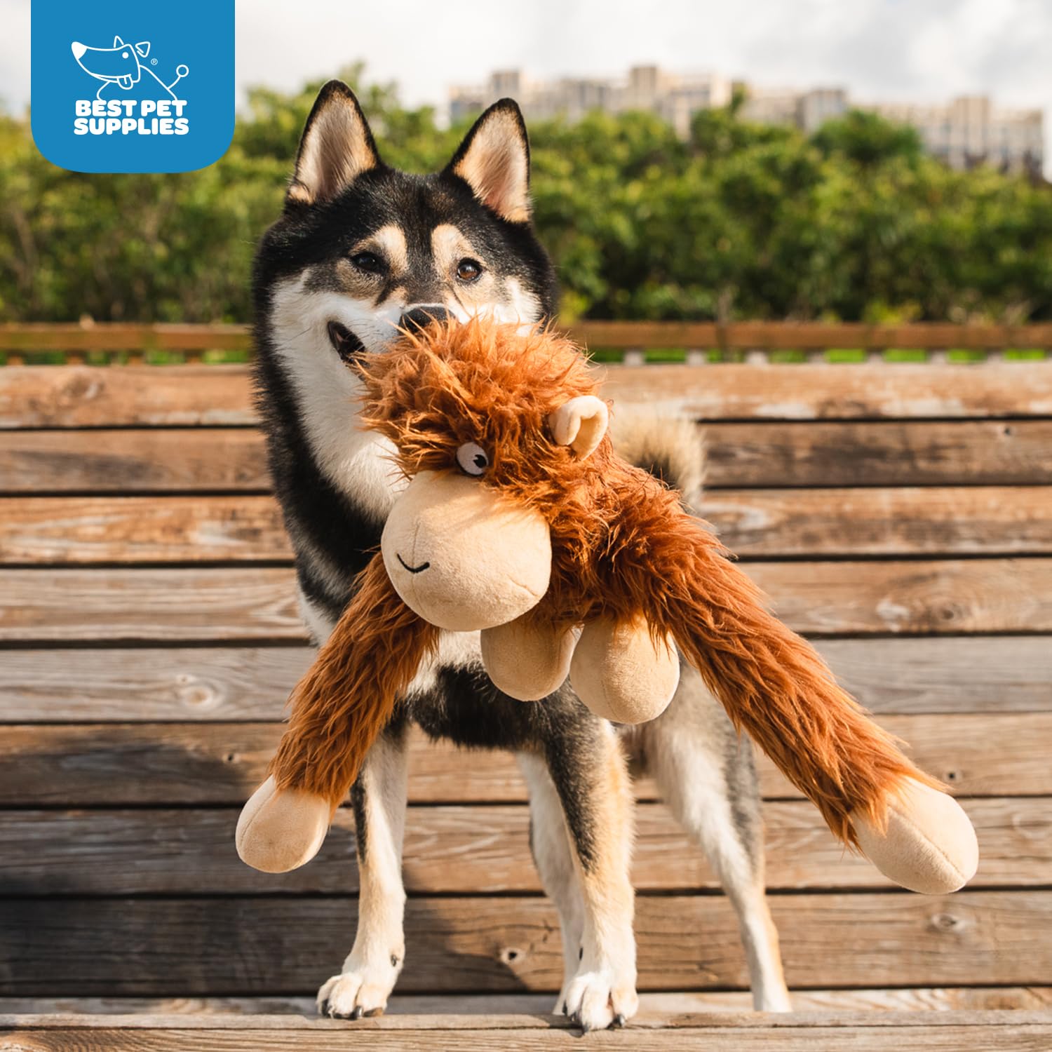 Best Pet Supplies Interactive Squeaky Dog Chew Toy, Ideal Dog Toys for Chewers, Small, Medium & Large Dogs, and Fetch Lovers - Crinkle Duck (Yellow), Large