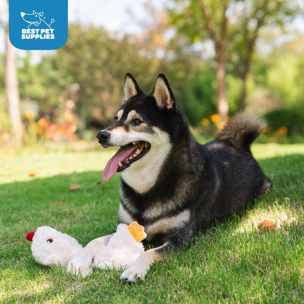 Best Pet Supplies Interactive Squeaky Dog Chew Toy, Ideal Dog Toys for Chewers, Small, Medium & Large Dogs, and Fetch Lovers - Crinkle Duck (Yellow), Large