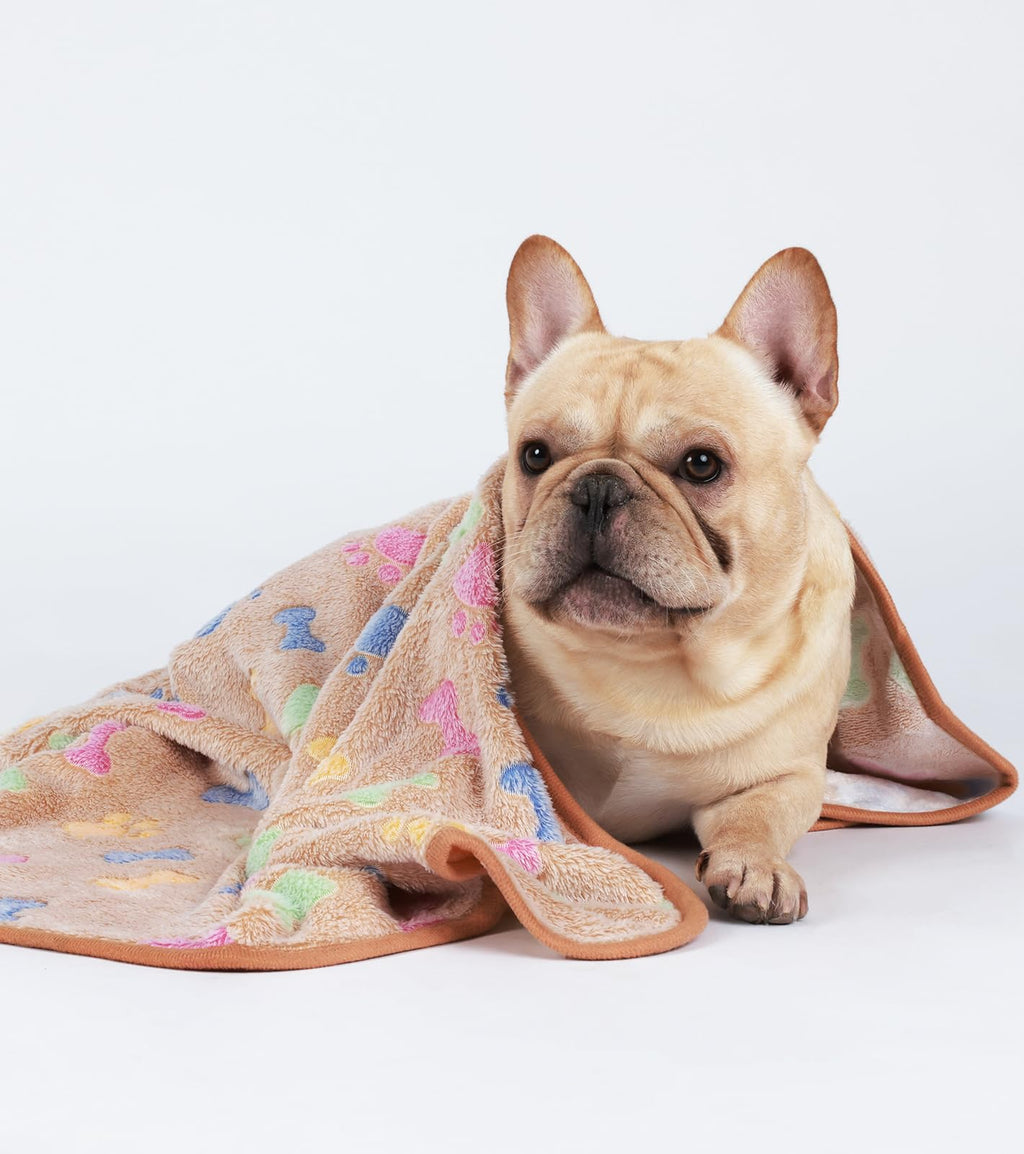 Luciphia 1 Pack 3 Blankets Fluffy Premium Fleece Pet Blanket Flannel Paw Printed Throw for Dog Cat(Small 23x16'', Grey/Brown/Blue)
