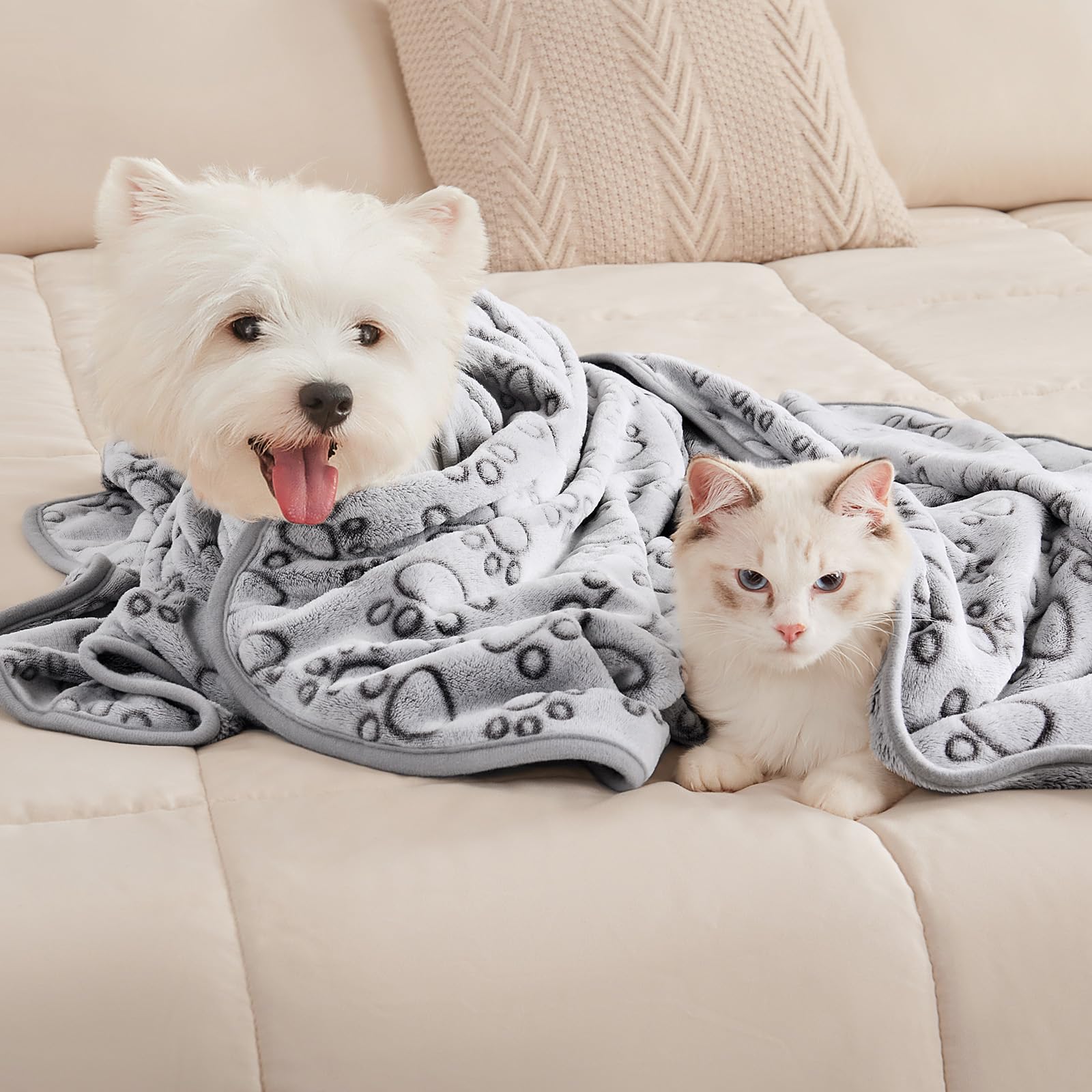 Luciphia 1 Pack 3 Blankets Super Soft Fluffy Premium Fleece Pet Blanket Flannel Throw for Dog Puppy Cat Paw Brown/Pink/White Small(23x16 inch)