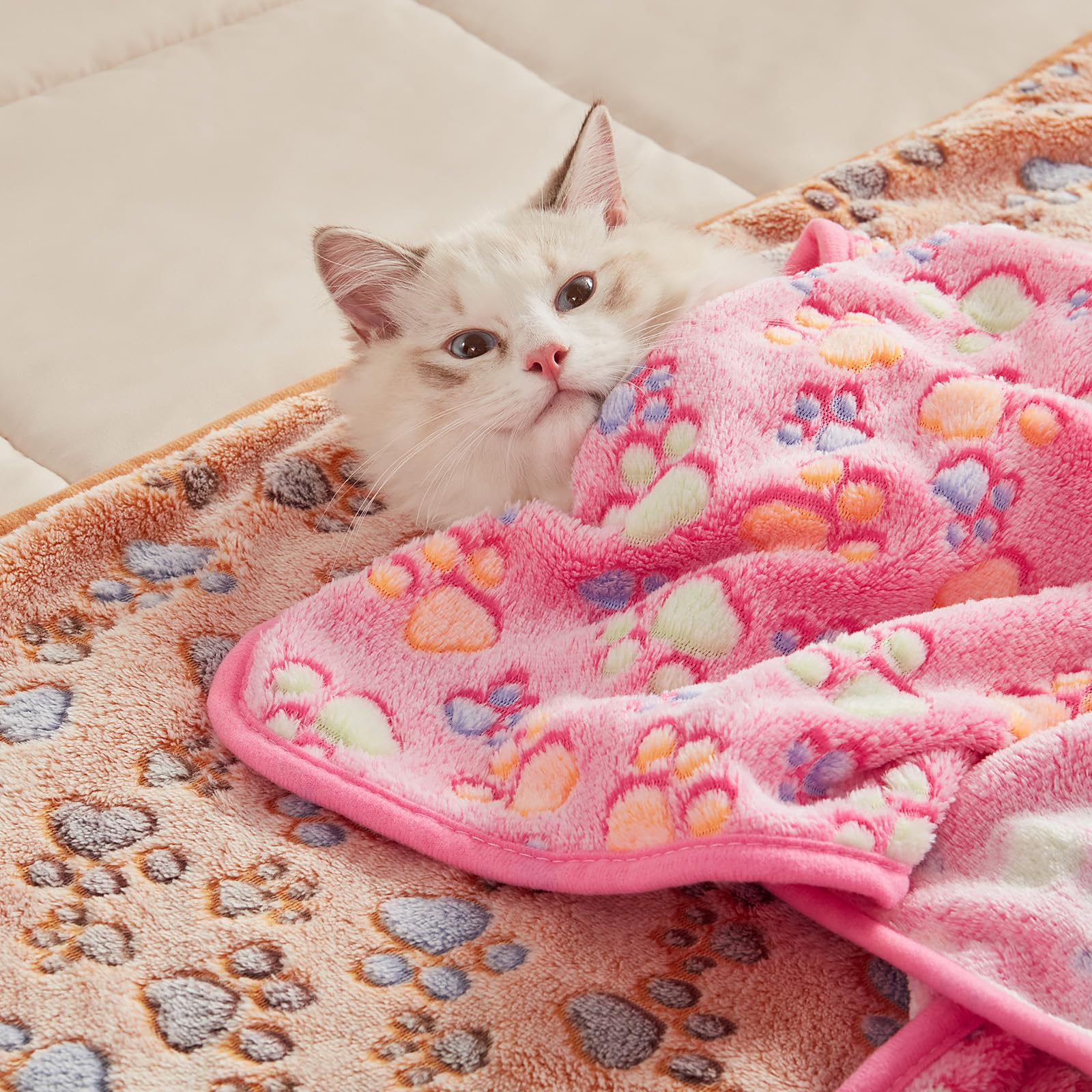 Luciphia 1 Pack 3 Blankets Super Soft Fluffy Premium Fleece Pet Blanket Flannel Throw for Dog Puppy Cat Paw Brown/Pink/White Small(23x16 inch)