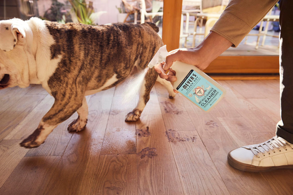 Mrs. MEYER'S CLEAN DAY Pet Multi-Surface Cleaner, Orange Blossom Scent, 16oz