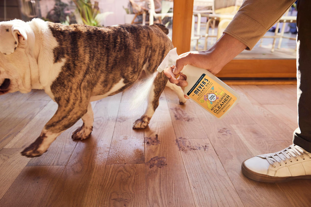 Mrs. MEYER'S CLEAN DAY Pet Multi-Surface Cleaner, Orange Blossom Scent, 16oz