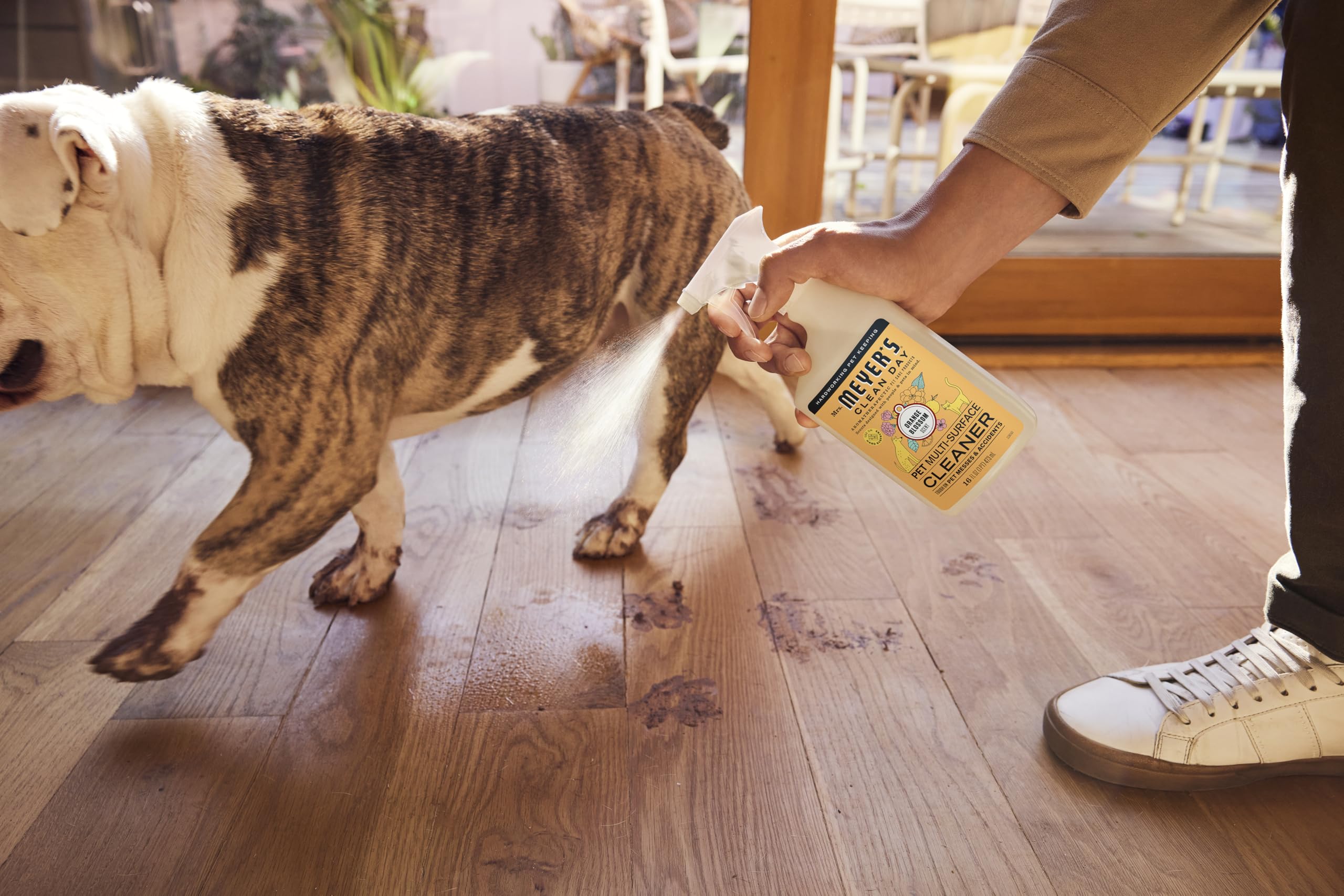 Mrs. MEYER'S CLEAN DAY Pet Multi-Surface Cleaner, Orange Blossom Scent, 16oz