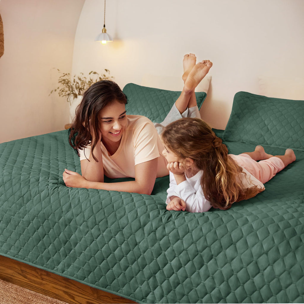 Exclusivo Mezcla Reversible Full Queen Quilt Bedding Set with Pillow Shams, Lightweight Quilts Queen Size, Soft Bedspreads Bed Coverlets for All Seasons - (Lilac Ash, 90"x96")