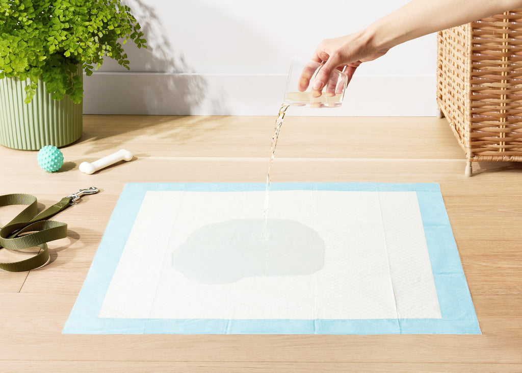 Amazon Basics Dog and Puppy Pee Pads, 5-Layer Leak-Proof Super Absorbent, Quick-Dry Surface, Potty Training, Regular (22x22"), 50 Count, Blue & White